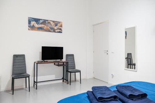 Lion Renting Vatican Apartment