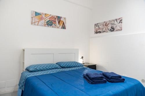 Lion Renting Vatican Apartment