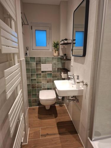 a bathroom with a toilet and a sink and a mirror at Stadtrand Apartment in Markkleeberg