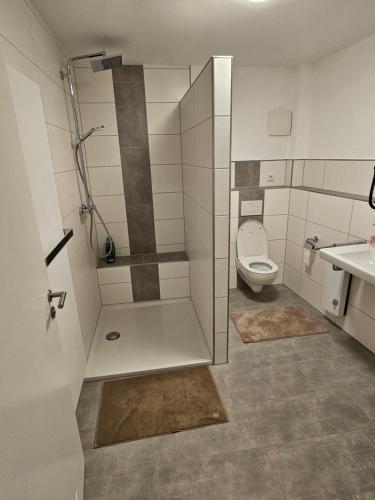 a bathroom with a shower with a toilet and a sink at Torwirt Apartments in Herrieden