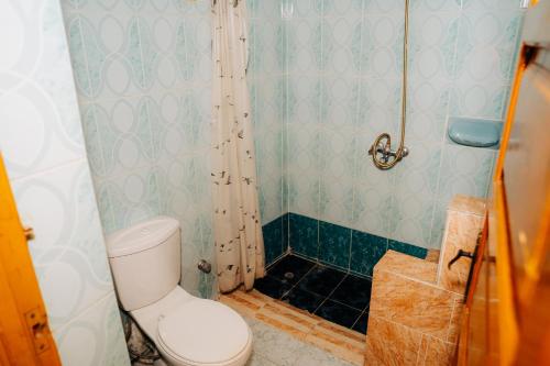 a small bathroom with a toilet and a shower at Harmonia House in Al Karnak