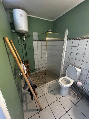 a bathroom with a toilet and a shower stall at Anais Loc in La Trinité