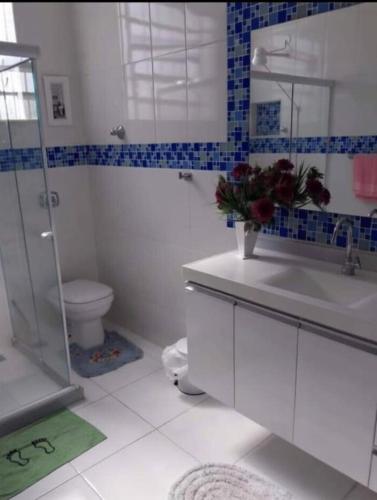 a bathroom with a toilet and a sink and a shower at Recanto Esperança - Na Feirinha do Alto in Teresópolis