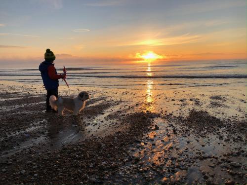 a person walking a dog on the beach at sunset at The Sandown - Seafront, Sandown, Isle of Wight - CAR FERRY TICKET from 109 Pounds in Sandown