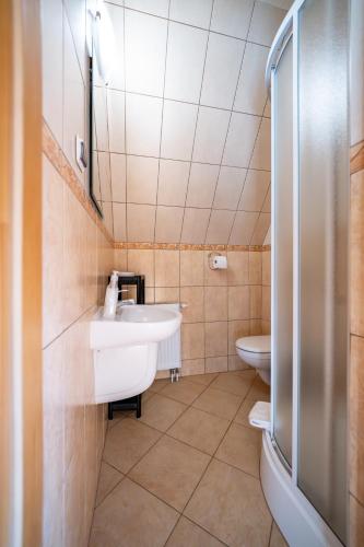 a bathroom with a sink and a toilet at Willa TOSKA in Murzasichle
