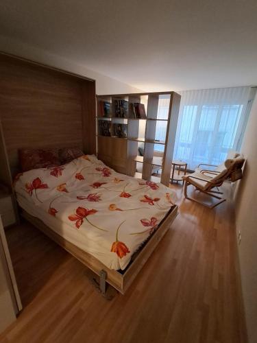 apartment center of Zürich