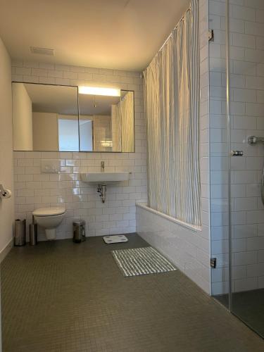 a bathroom with a shower and a sink and a toilet at Zurich City Appartement in Zurich