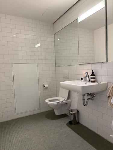 Zurich City Appartement