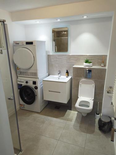a bathroom with a toilet and a sink and a washing machine at Apartament confortabil, ideal pt 2 adulti si 2 copii sau 3 adulti in Râmnicu Vâlcea