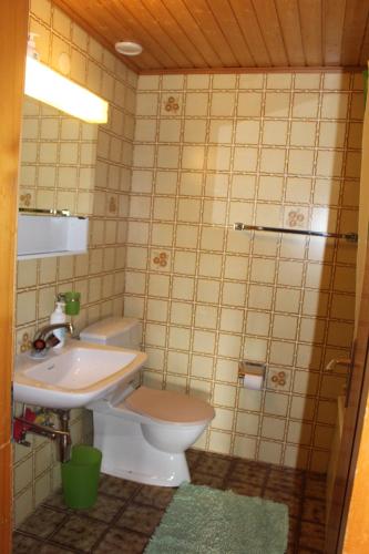 a small bathroom with a toilet and a sink at Anzère appartement de vacances calme et sympa in Anzère