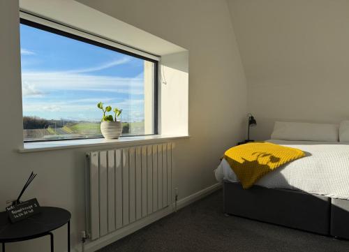 a bedroom with a bed and a window with a potted plant at School house Portaferry in Portaferry