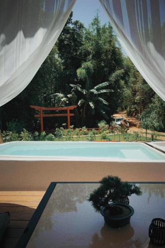 a potted plant sitting on a table next to a pool at Ônibus Oriental com Ofurô - Domingos Martins ES in Domingos Martins