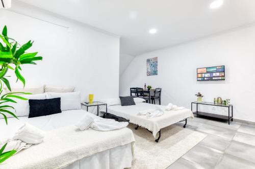 Central flat with garden