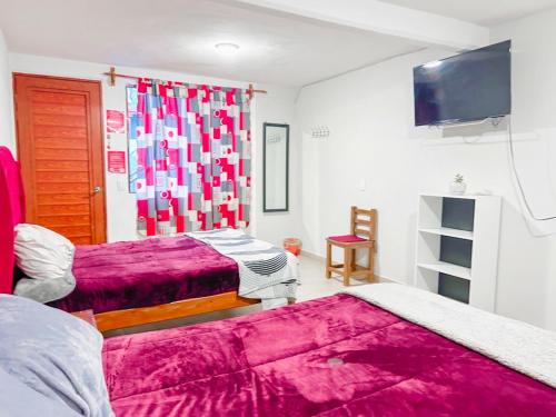a bedroom with two beds and a tv on the wall at Ruby Grey Suite in Mineral de Angangueo