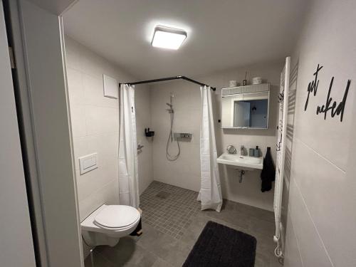a white bathroom with a toilet and a shower at Ferienwohnung Clemens in Nideggen