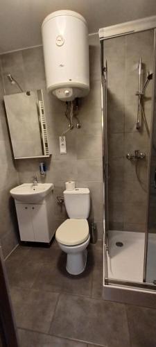 a bathroom with a toilet and a sink and a shower at Agroturystyka za lasem in Kiekrz