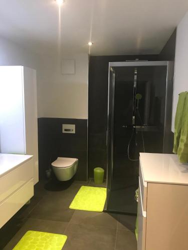 a bathroom with a toilet and a shower with yellow mats at Papillon in Saas-Grund