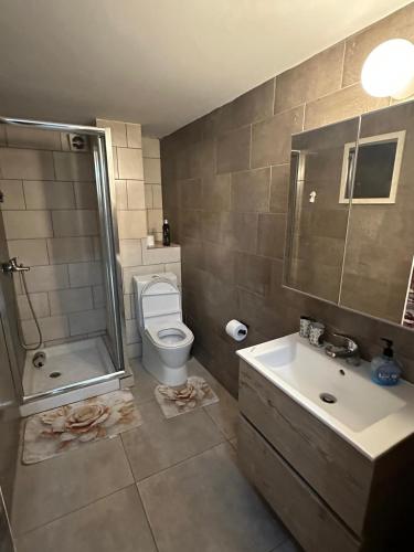 a bathroom with a toilet and a shower and a sink at Near Finikoudes Beach 15 in Larnaca
