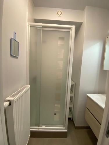 a shower with a glass door in a bathroom at JuLieze Apartment at Sea & Pool in Ostend