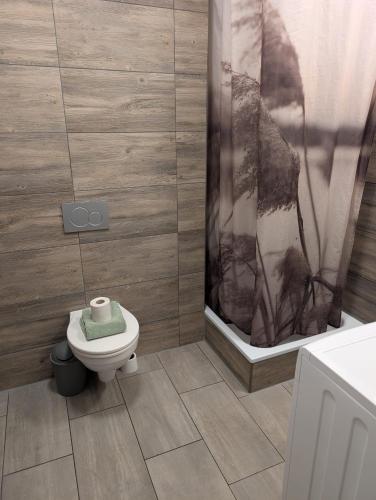 a bathroom with a toilet and a shower at Flensburg Süd in Flensburg