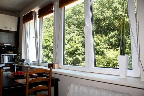 Kuchyňa alebo kuchynka v ubytovaní Apartament Kolberga w Sopocie