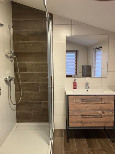 a bathroom with a shower and a sink at Rhöner Sternenhimmel FeWo 1 und 2 in Frankenheim