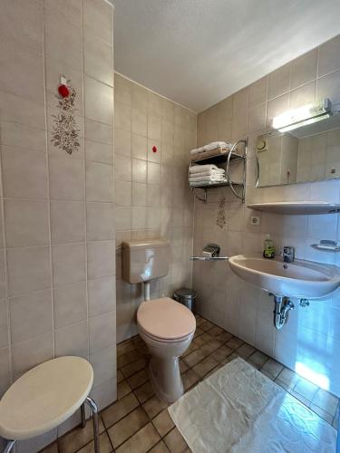 a small bathroom with a toilet and a sink at Niedermaier Hof in Bad Birnbach