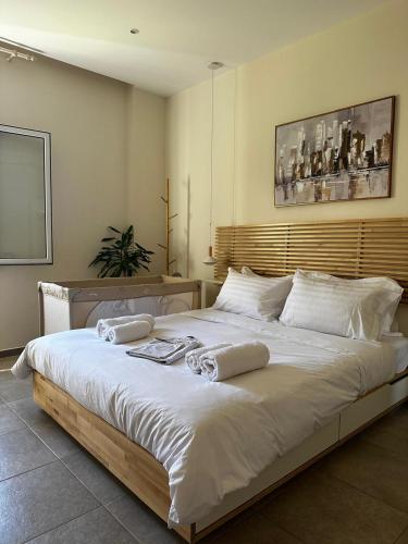Leandros Cfu flat