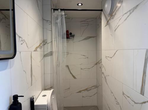 a bathroom with a shower with a toilet and a sink at Northern apartments in Sheffield