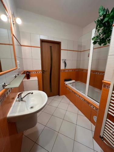 a bathroom with a sink and a toilet and a tub at Apartmán Renata in Rudník