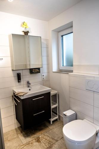 a bathroom with a sink and a toilet and a mirror at Ferienwohnung Elsbeth in Biberach an der Riß