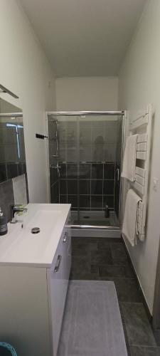 a bathroom with a shower and a sink and a tub at Le Havre de Sauge in Imphy