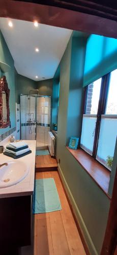 a bathroom with a sink and a shower and window at Les Tourelles in Contes