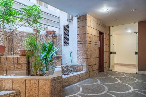 Lion Renting Trastevere