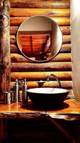 a bathroom sink with a mirror on a wooden wall at Posada del Viento in Tandil