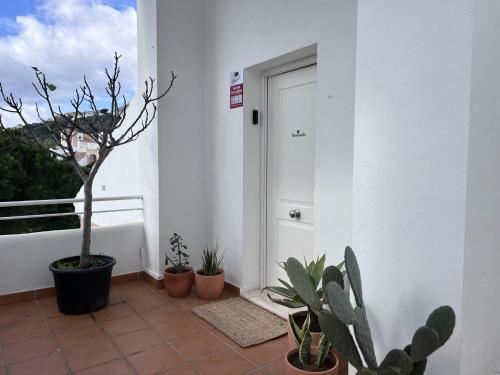 Villa Macadamia