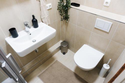 a bathroom with a sink and a toilet at raum life - Design Apartment mit Küche in der Altstadt in Regensburg