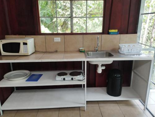 a small kitchen with a sink and a microwave at Maison tranquille in Rivas