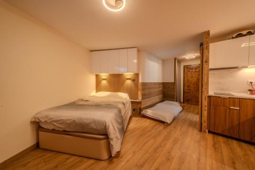 Appartement Avoriaz entièrement rénové 3pax