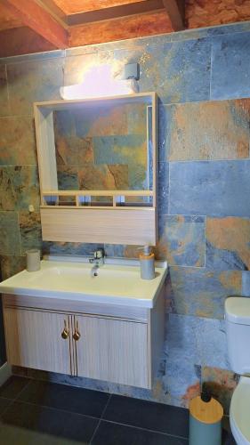 un bagno con lavandino, finestra e WC di Emma modern suite a Kourou