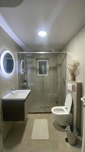 a bathroom with a shower and a toilet and a sink at Panoramic View House in Tepelenë