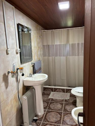 a bathroom with a sink and a toilet at MonSua in San Luis