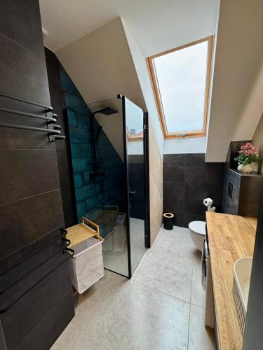 a bathroom with a shower and a toilet and a sink at Na Fali Marszałka in Mielenko