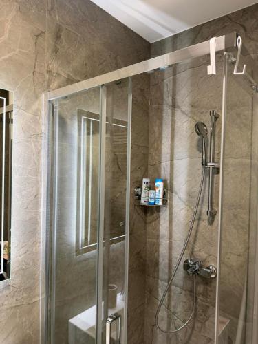 a bathroom with a shower with a glass door at Stelmar Apartment in Banja Luka