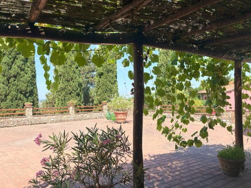 a pavilion with trees and plants in a courtyard at Podere Casato in Montespertoli