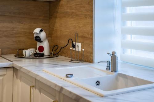 a kitchen counter with a sink and a mixer at Apartament de lux central in Satu Mare