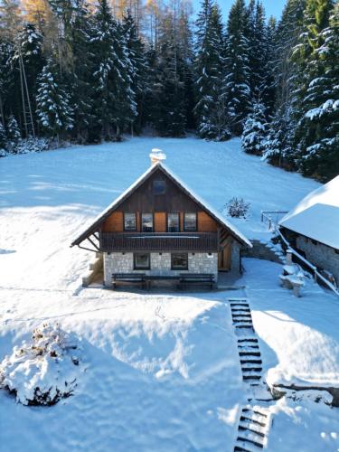 Private Forest Cabin with Epic View