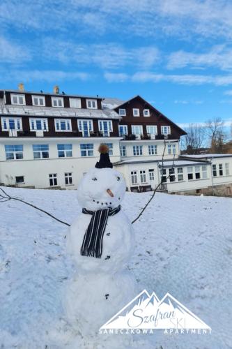 SzafranSKI Saneczkowa Apartment
