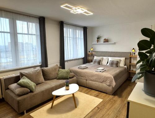 Smarty Choice Living with FREE PARKING - Vondroušova