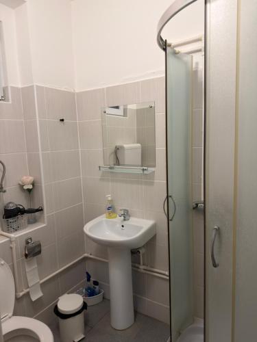 a bathroom with a sink and a toilet and a mirror at Tim in Kalna